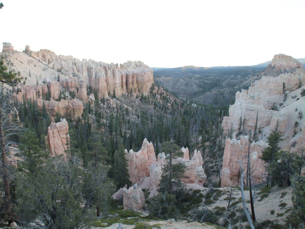 Bryce Canyon Road Trip