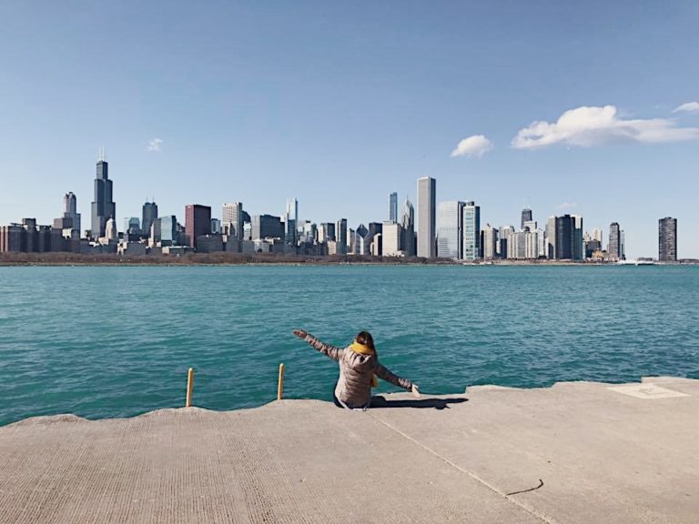 Chicago Skyline