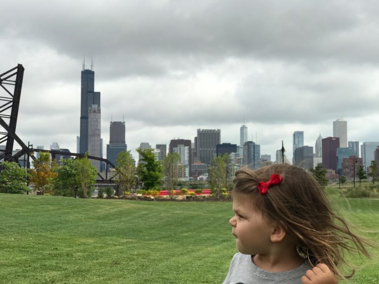 Chicago Skyline