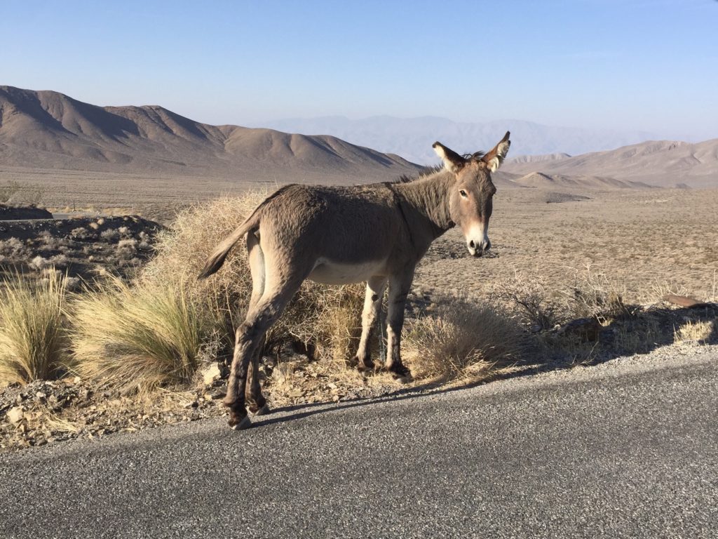 Bye Bye Death Valley