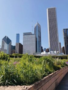 Millenium Park Chicago