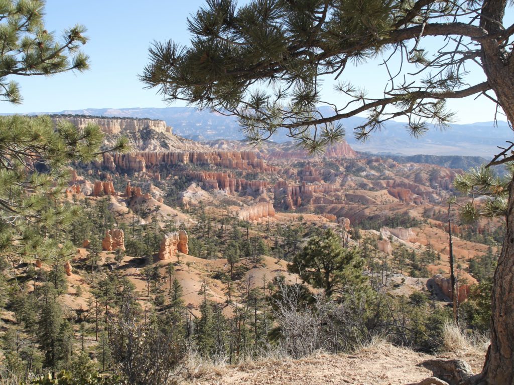 Bryce Canyon