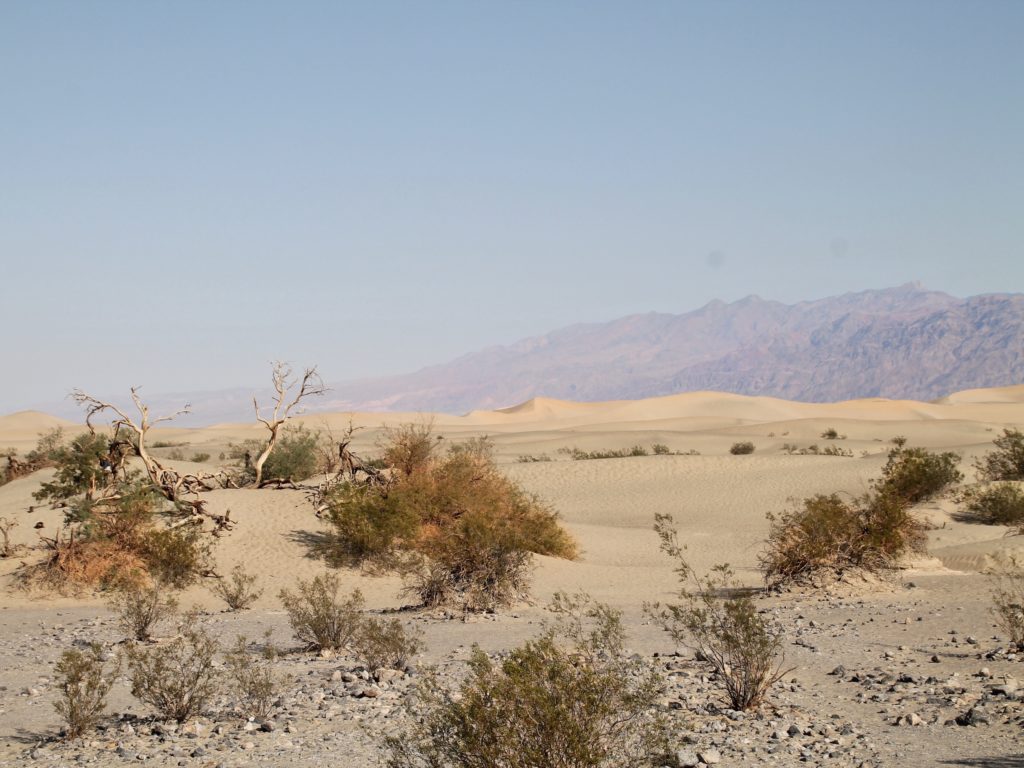 Death Valley Road Trip