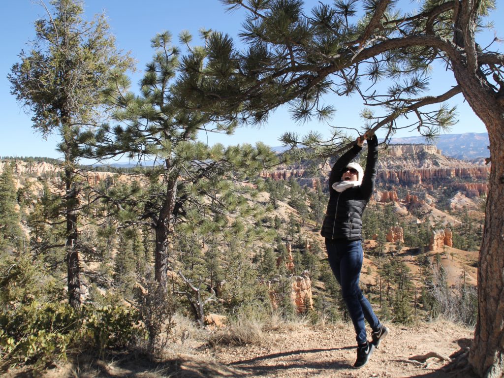 Bryce Canyon Road Trip