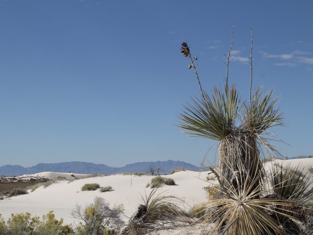 White Sands