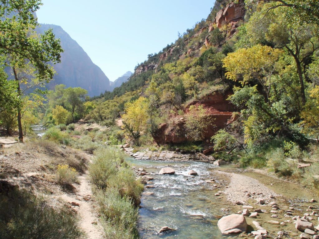 Zion National Park Road Trip